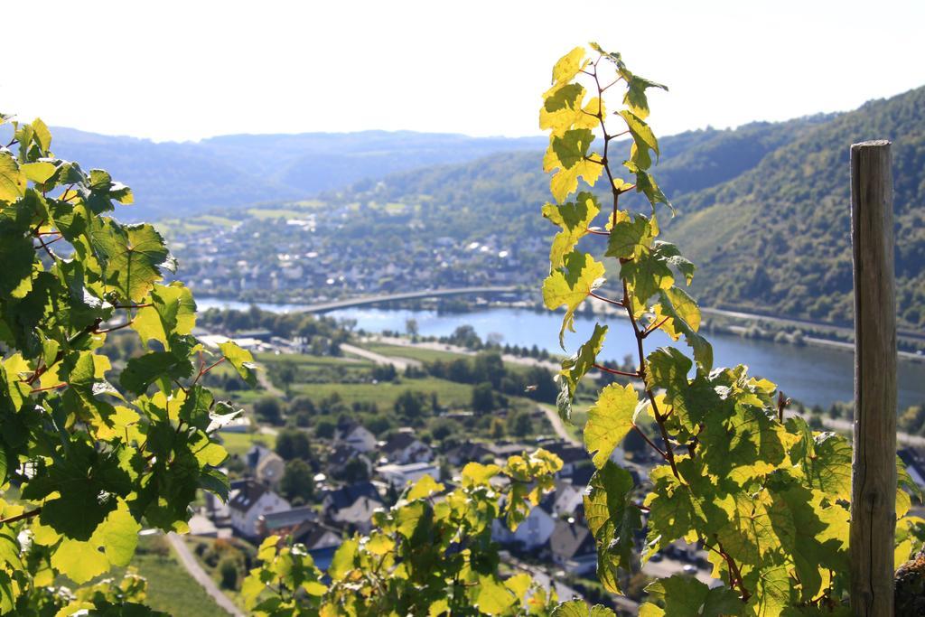 Ferienwohnungen Im Moseltal Loef Luaran gambar