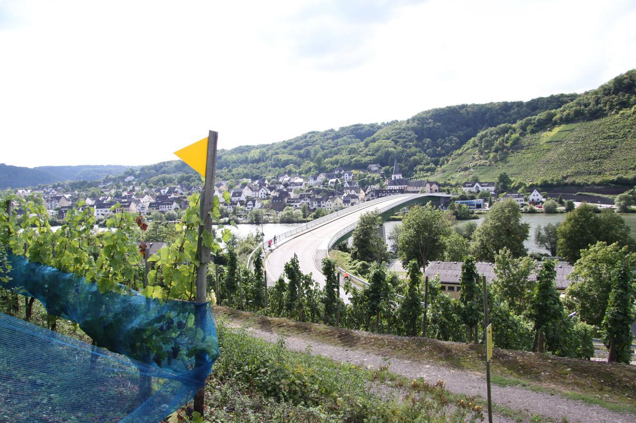 Ferienwohnungen Im Moseltal Loef Luaran gambar